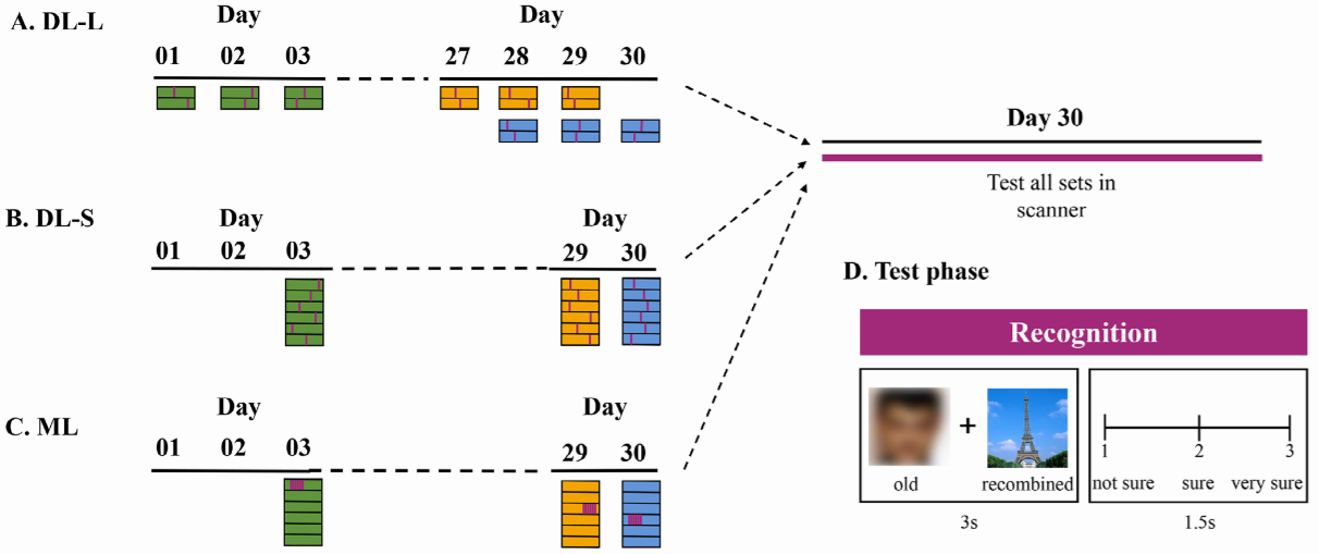 /crm/product/image/20251021/1761016874187005972.png 1761016874187005972.png